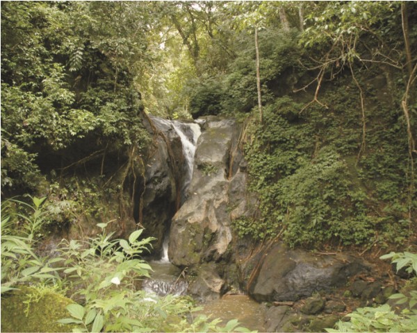 Sarasah Aie Batimpo