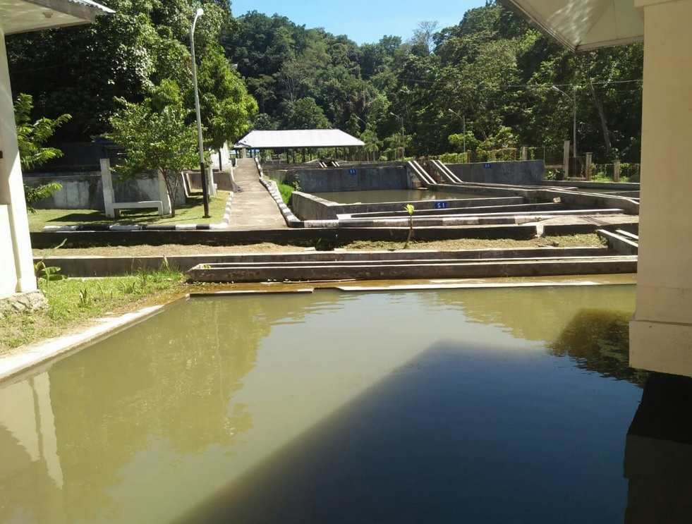 UPTD Balai Benih Ikan pada Dinas Pertanian