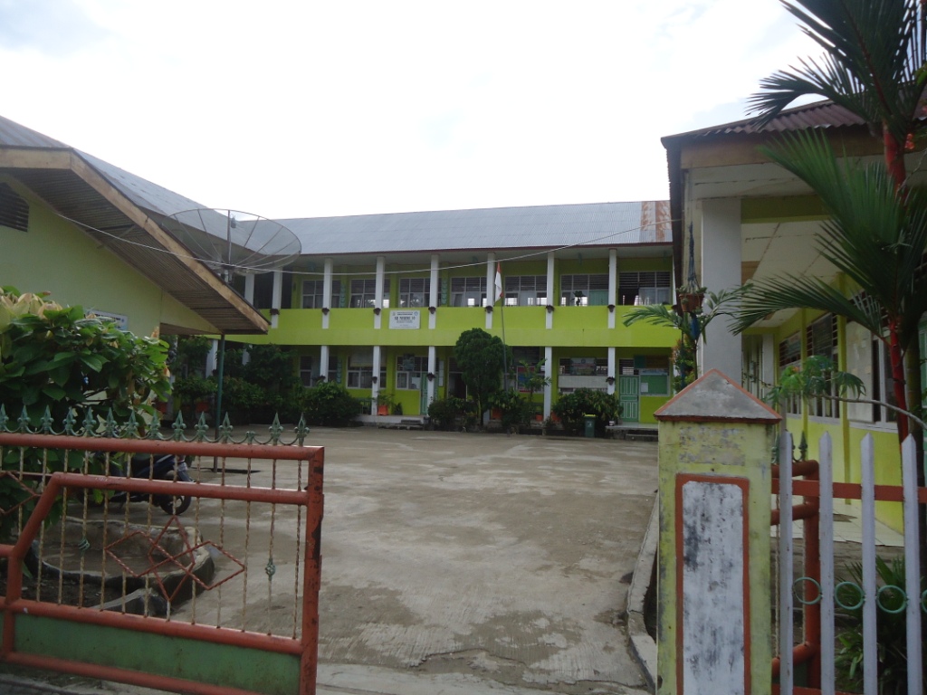 SD NEGERI 10 NAN BALIMO