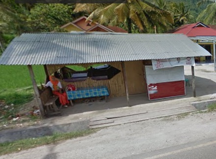 Pecel Lele Khas Lamongan