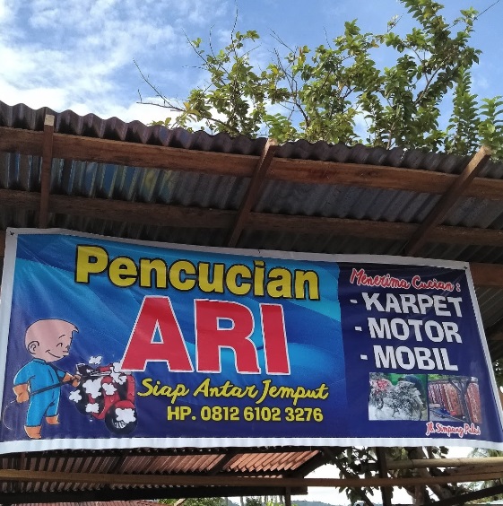 PENCUCIAN ARI