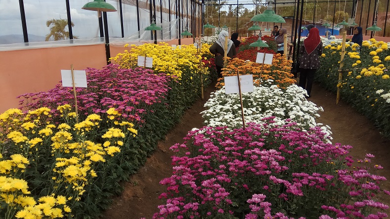 Agro Wisata Payo