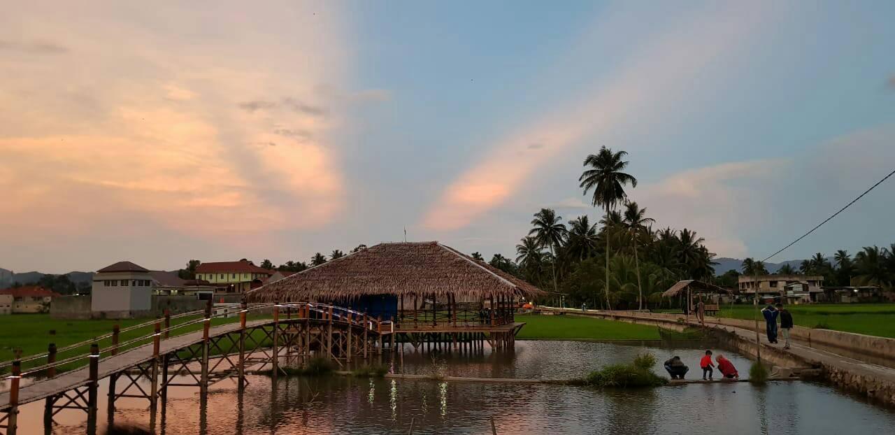 Sawah Solok